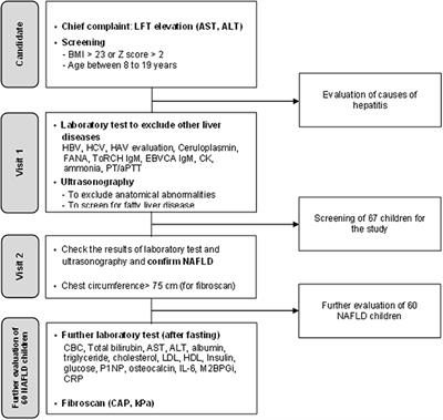 Stratification by Non-invasive Biomarkers of Non-alcoholic Fatty Liver Disease in Children